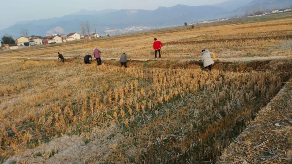 文明在老庄·我和我的家乡——水渠清理