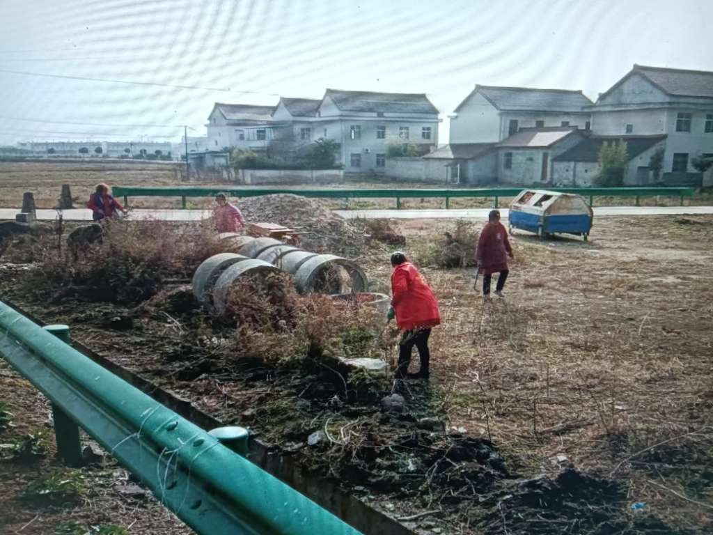 文明在老庄·我和我的家乡——环境整治志愿服务活动