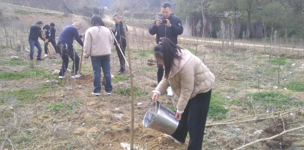 九坝村组织团青年参加义务植树节活动