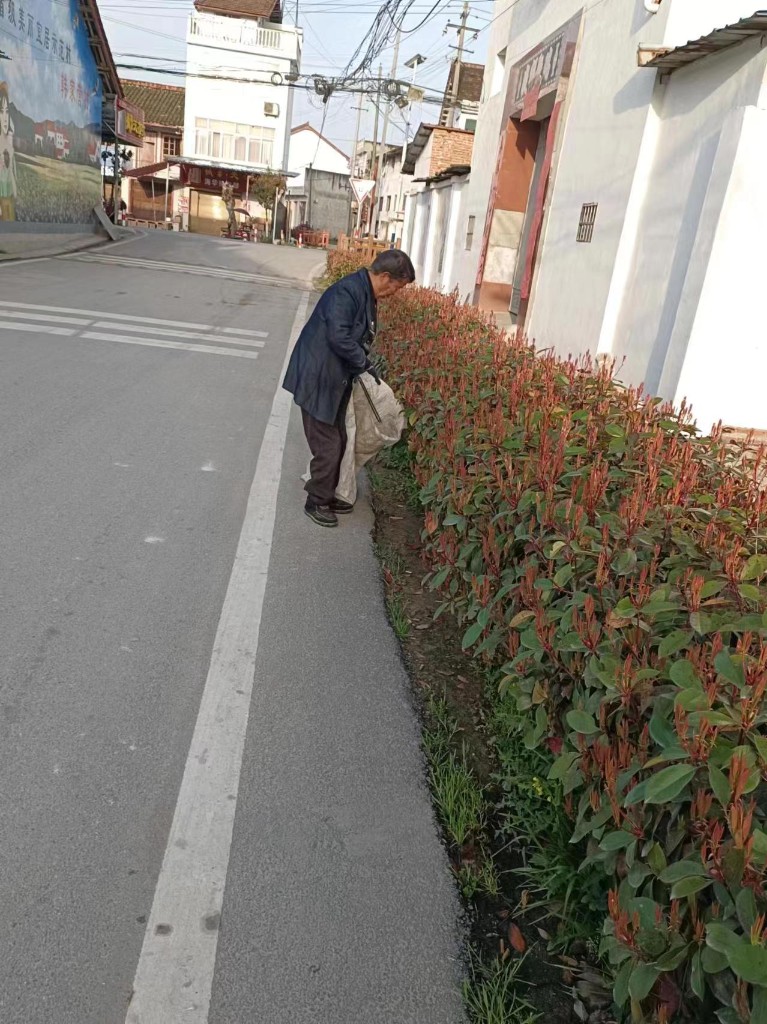 常抓环境卫生，创建宜居家园