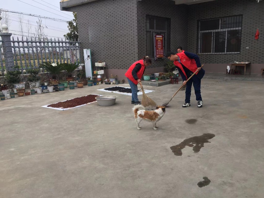 龙头镇新兴村新时代文明实践站开展“环境整治”志愿活动