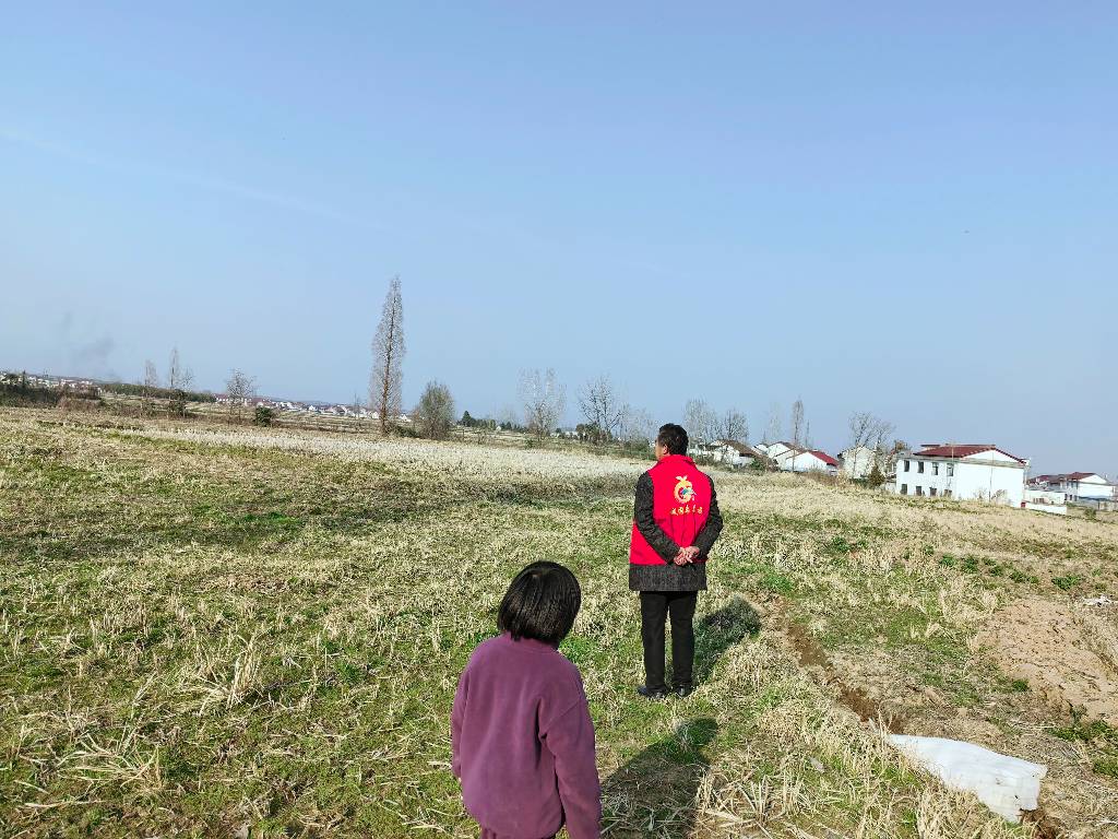 龙头镇新兴村新时代文明实践站开展“秸秆禁烧”志愿活动
