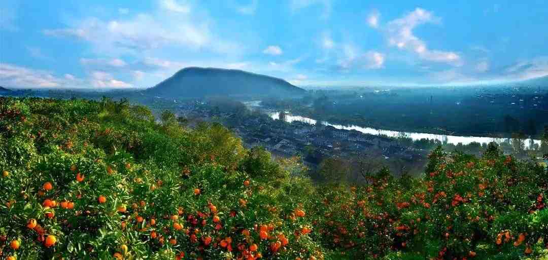 文明实践在城固桔园镇举办庆元旦迎新年文明实践系列活动