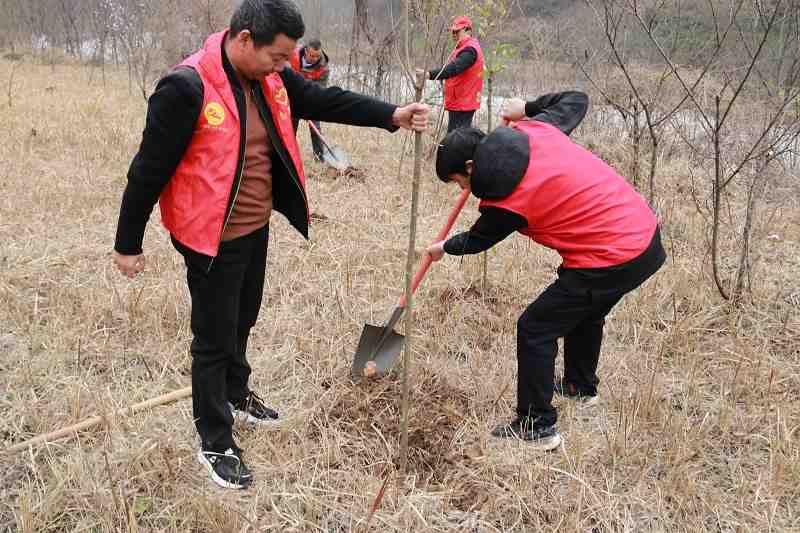 1742452340078081330Copy.jpg 02.jpg