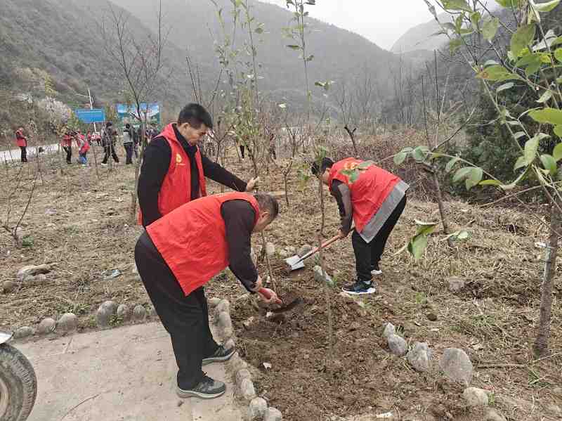 1742452349200060709Copy.jpg 05.jpg